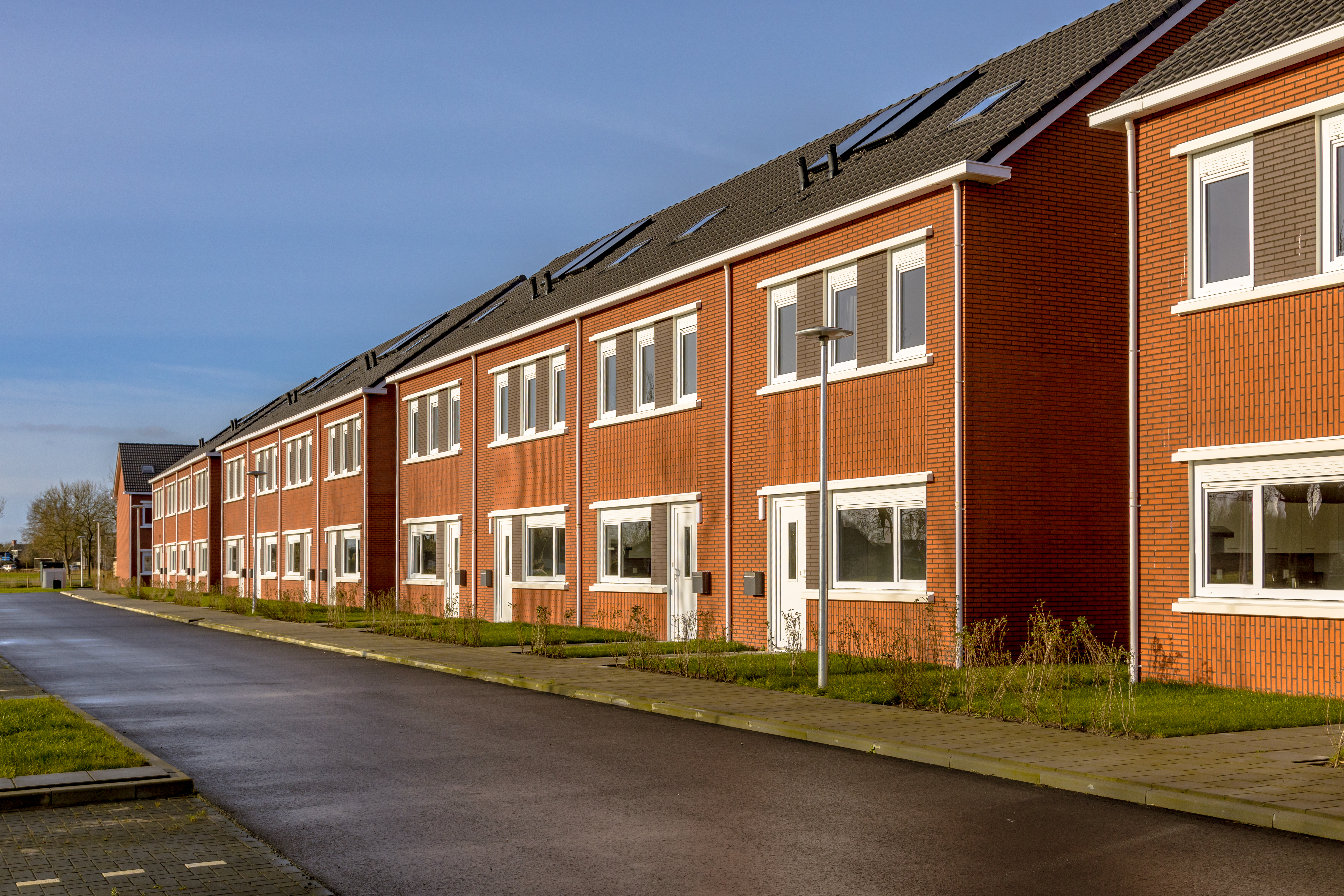 Project Management & Installation